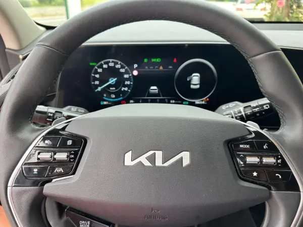 Kia Niro EV 64kWh 17