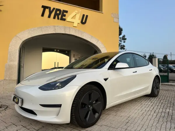 Tesla Model 3 AWD Dual Motor 1