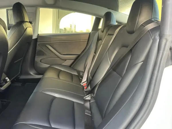 Tesla Model 3 AWD Dual Motor 17