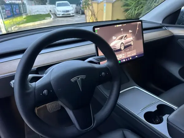 Tesla Model Y Long Range Tração Integral 18