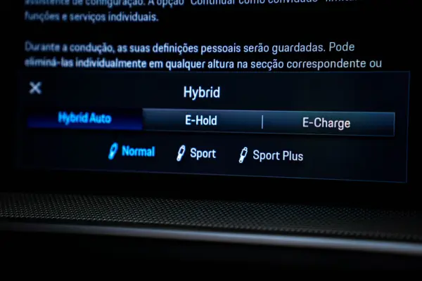Porsche Cayenne E-Hybrid 15