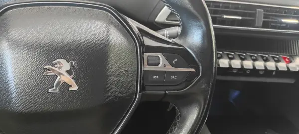 Peugeot 3008 1.5 BlueHDi Active 38