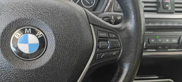 BMW 318 d Auto Line Luxury 44