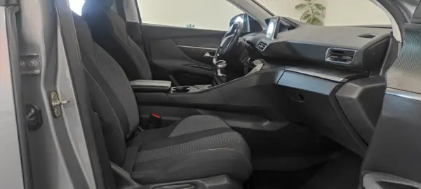Peugeot 3008 1.5 BlueHDi Active 22