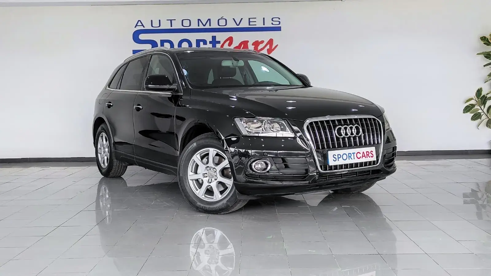 Audi Q5 2.0 TDi Sport 13