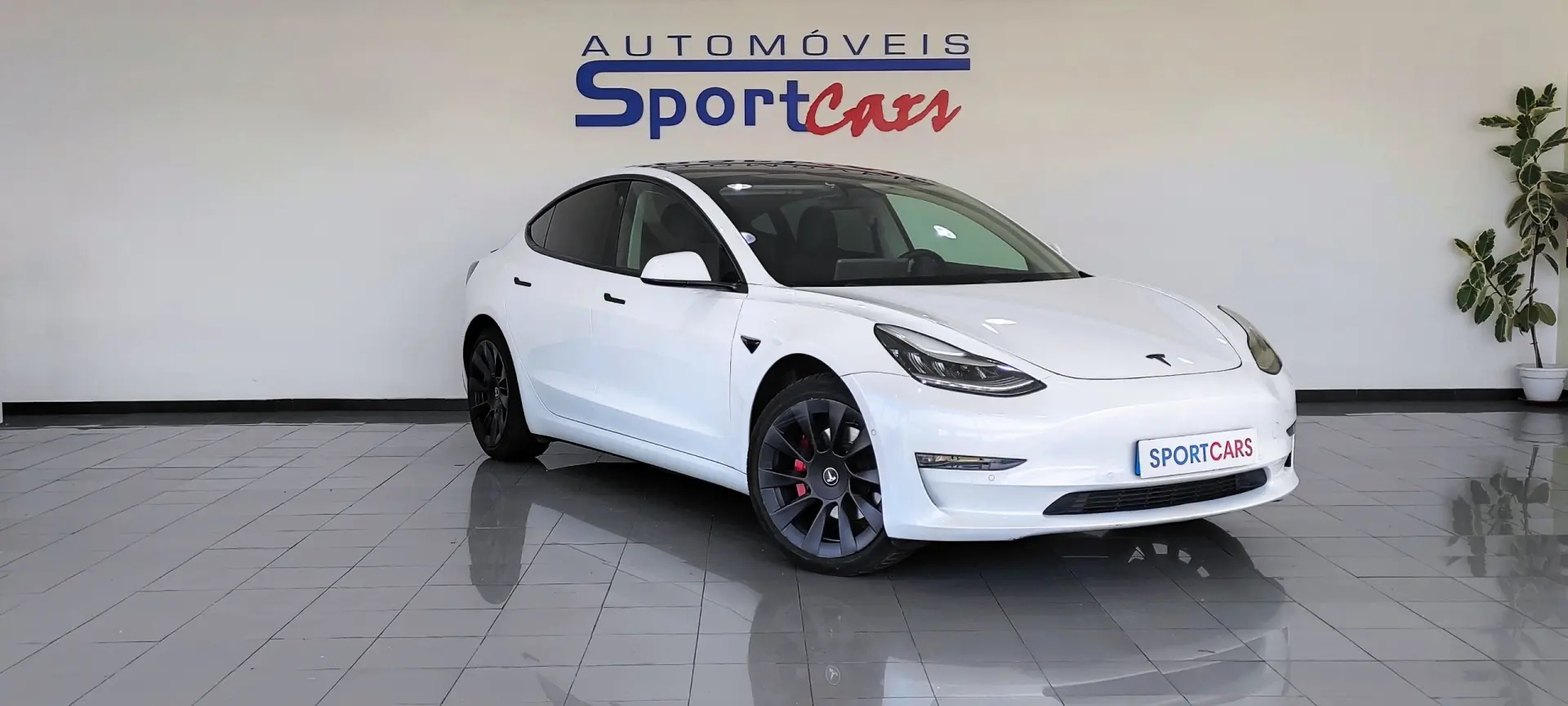 Tesla Model 3 Long Range AWD Dual Motor 3