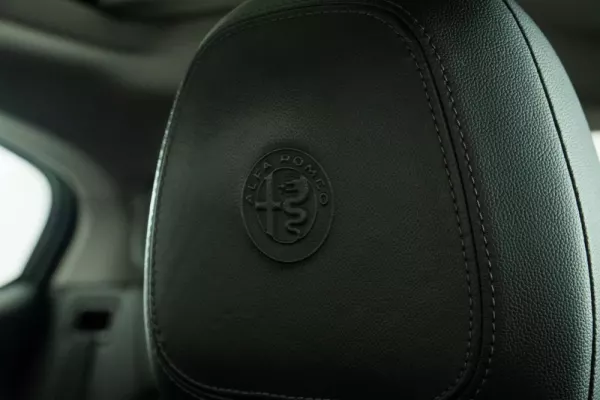 Alfa Romeo Stelvio 2.2 D Super AT8 Q4 29