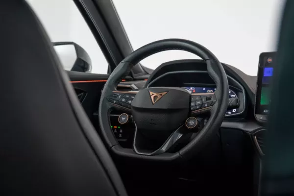 Cupra Formentor 1.5 eTSI DSG 27