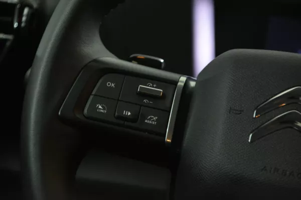 Citroën C4 X 1.5 BlueHDi Feel Pack EAT8 28