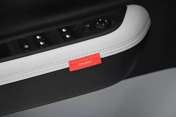 Citroën C3 1.2 Turbo Max 25