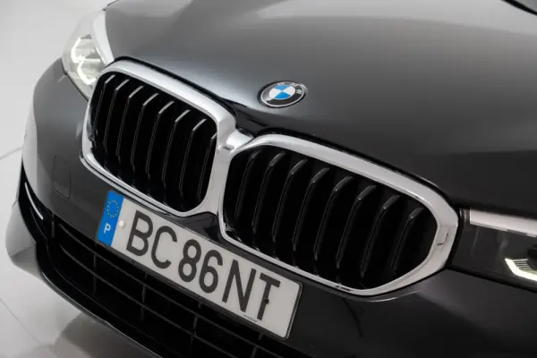 BMW 530 d Line Luxury Auto 14