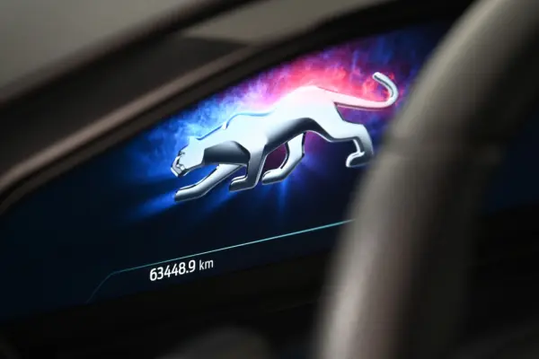 Ford Puma 1.0 EcoBoost MHEV ST-Line 17