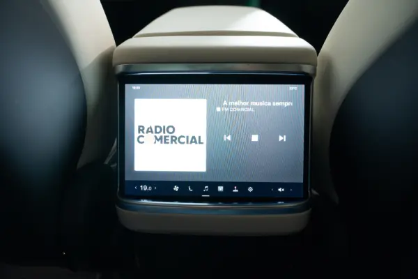 Tesla Model X Long Range AWD 46