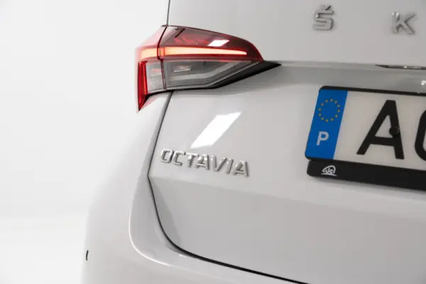 Skoda Octavia 2.0 TDI 10