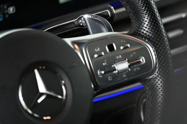 Mercedes-Benz GLE 53 AMG 4Matic+ 31