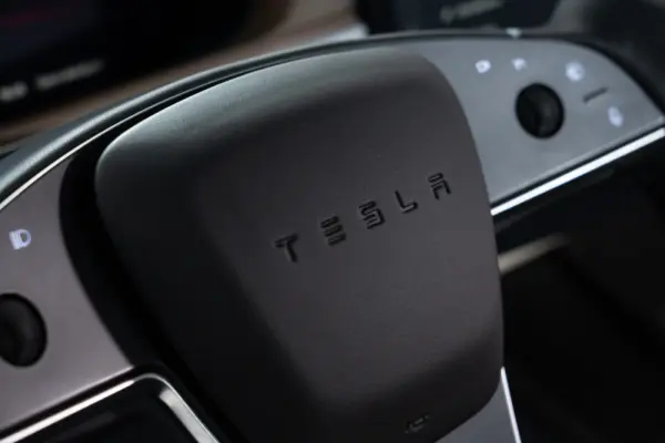 Tesla Model X Long Range AWD 49