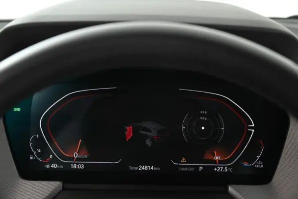 BMW 116 i Advantage Auto 15