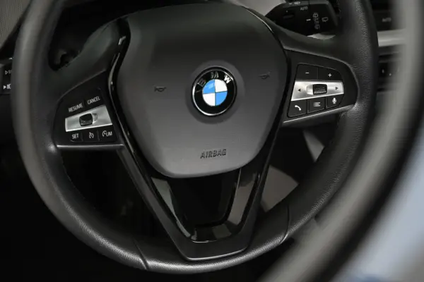 BMW 116 i Advantage Auto 20