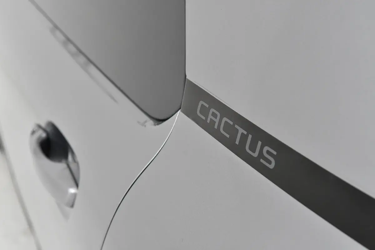 Citroën C4 Cactus 1.5 BlueHDi Shine 15