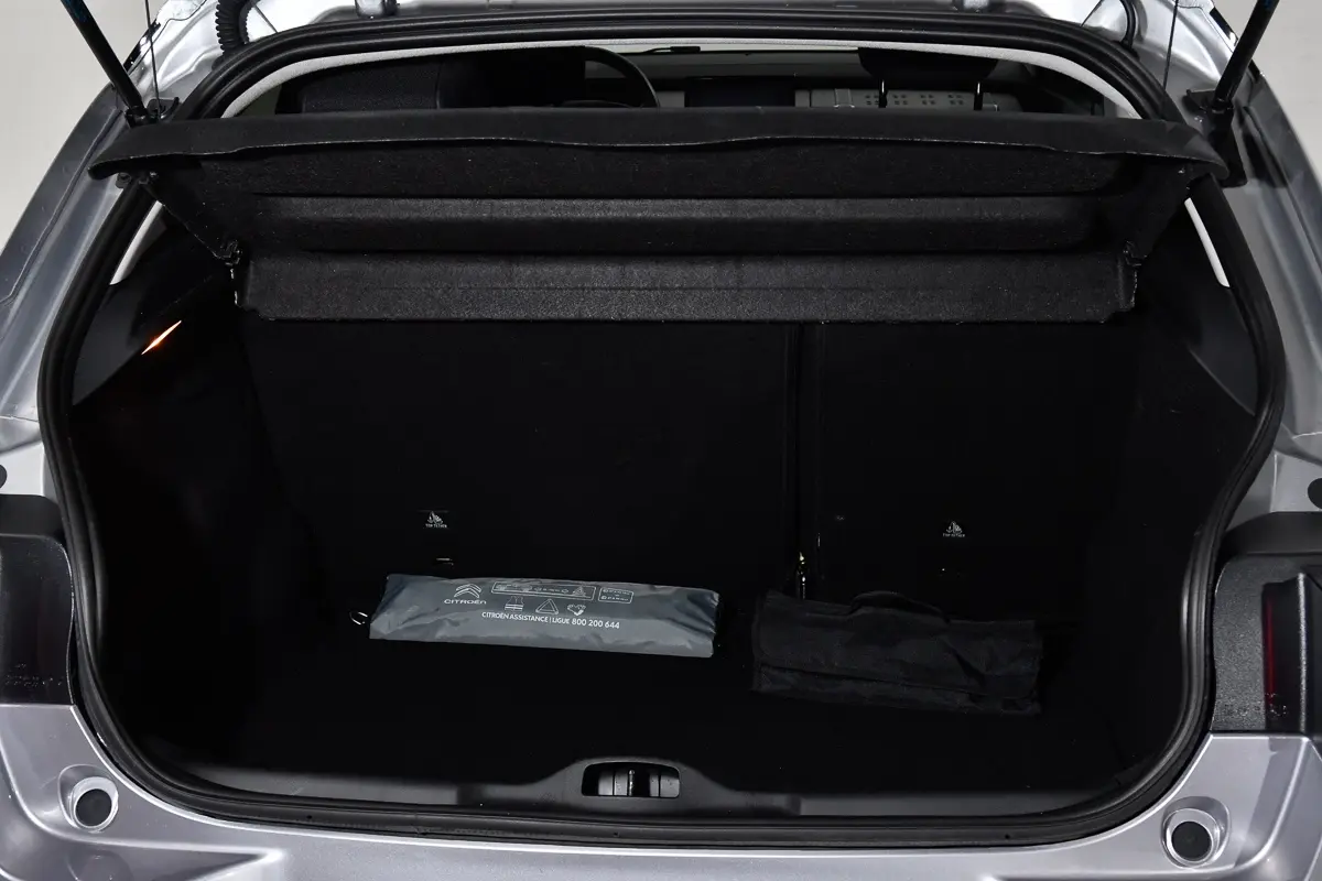 Citroën C4 Cactus 1.5 BlueHDi Shine 14