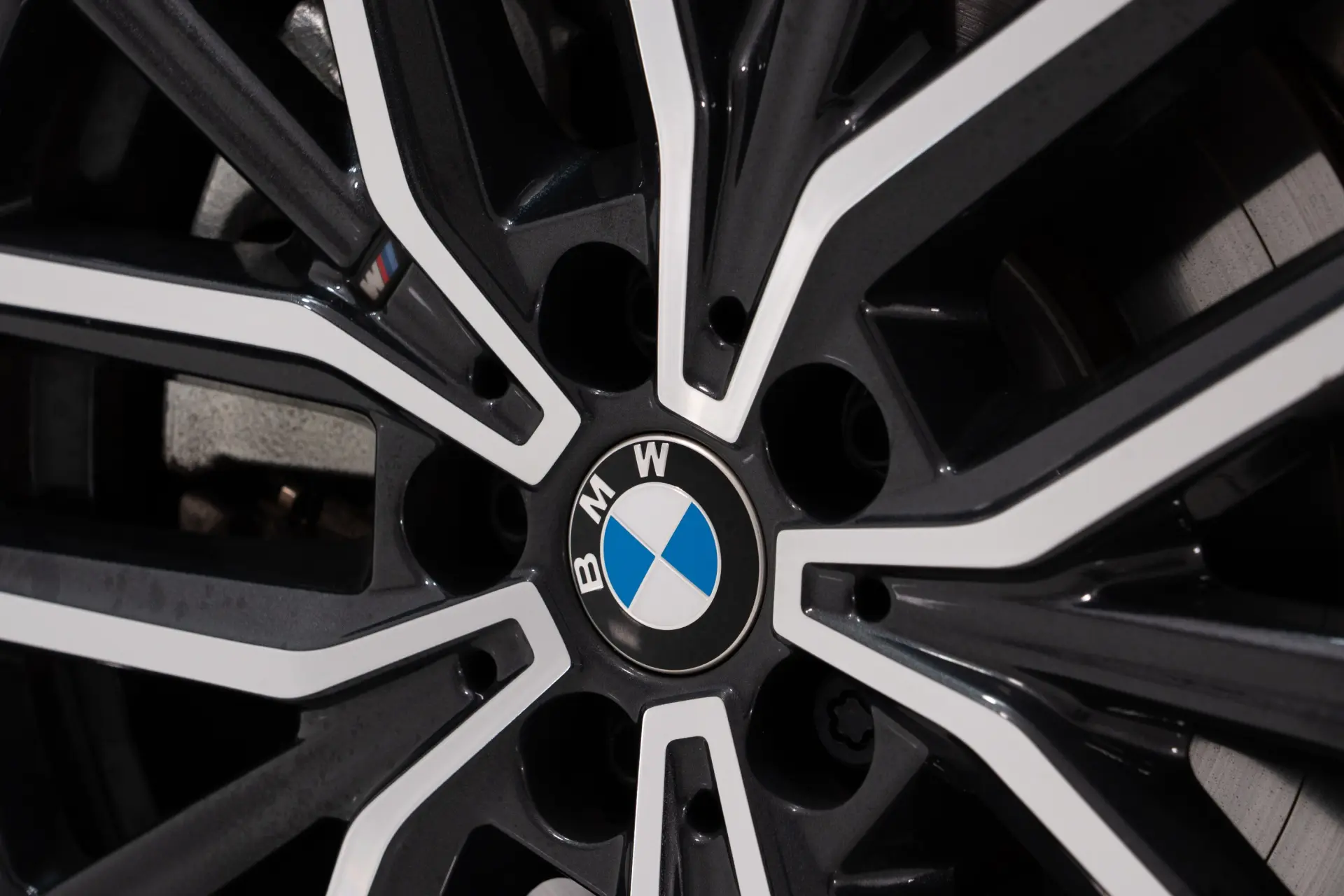 BMW X1 xDrive25e Pack Desportivo M 13