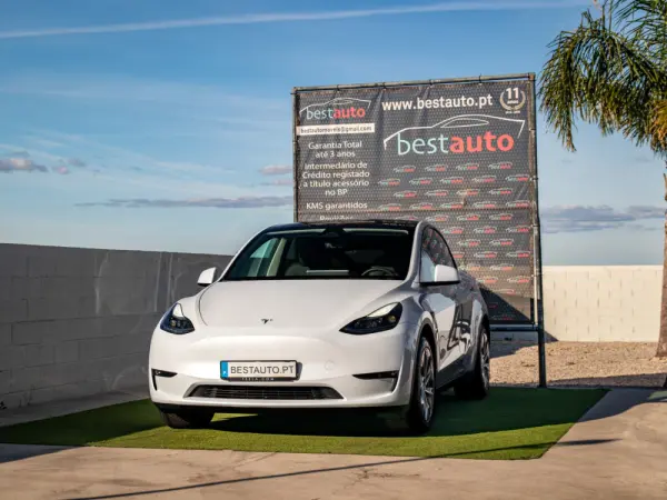 Tesla Model Y Long Range Tração Integral 2
