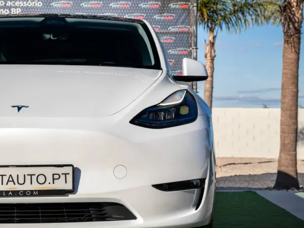 Tesla Model Y Long Range Tração Integral 15