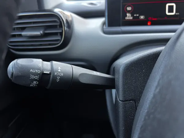 Citroen C4 Cactus 1.2 PureTech Shine EAT6 17