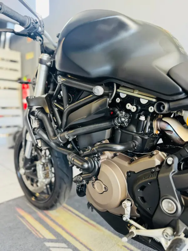 Ducati Monster 821 10