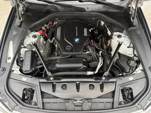 BMW 520 d Pack M Auto 22