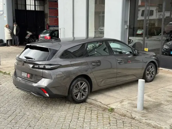 Peugeot 308 SW Outro 2