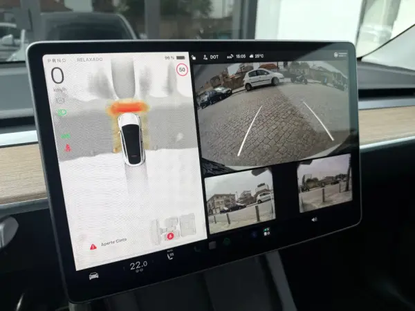 Tesla Model Y Long Range Dual Motor AWD 10