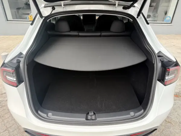 Tesla Model Y Long Range Dual Motor AWD 17
