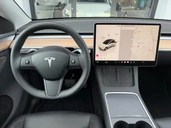 Tesla Model Y Long Range Dual Motor AWD 10