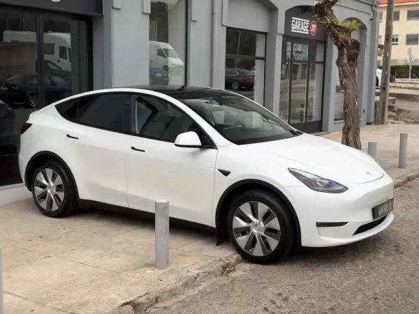 Tesla Model Y Long Range Dual Motor AWD 22