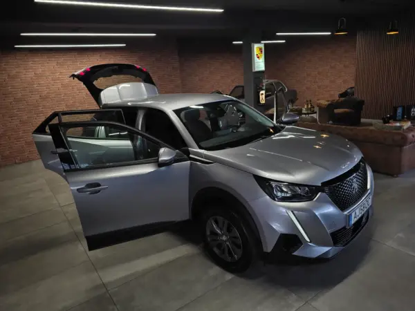 Peugeot 2008 1.5 BlueHDi Active Pack 17
