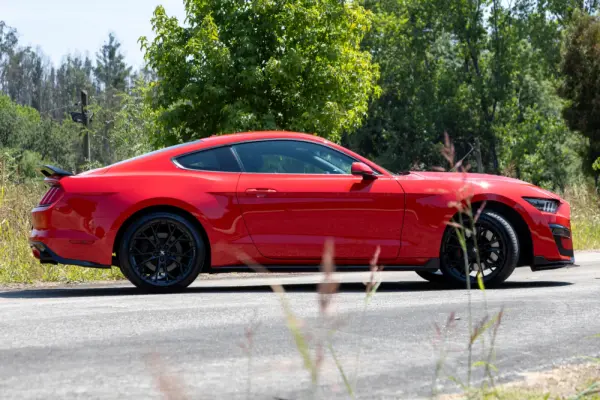 Ford Mustang 5.0 Ti-VCT V8 Black Shadow Edition 5