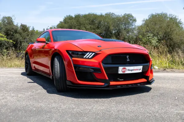 Ford Mustang 5.0 Ti-VCT V8 Black Shadow Edition 18