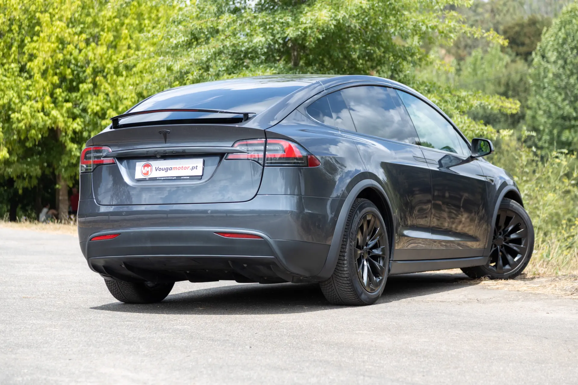 Tesla Model X Signature P90D AWD 42