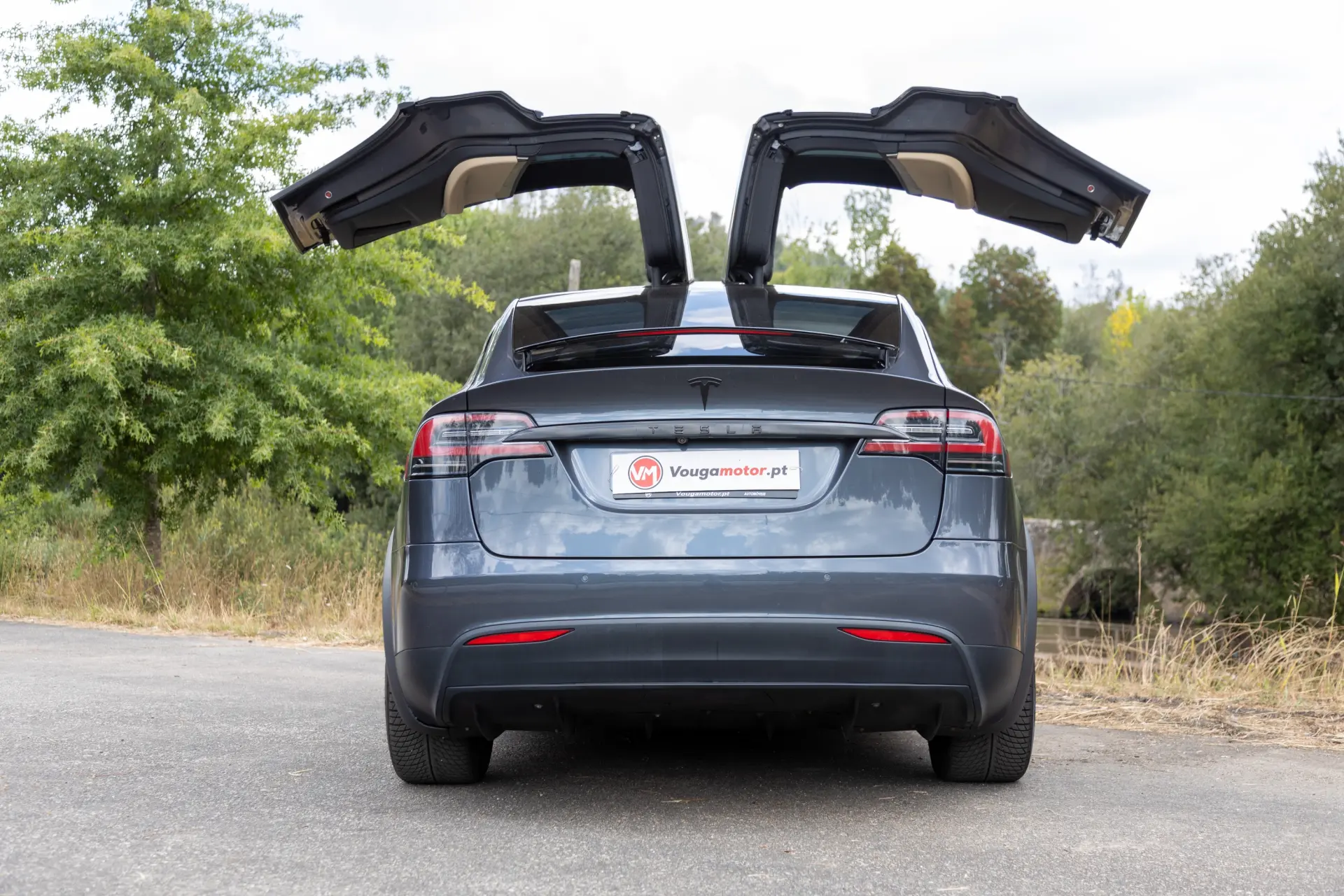 Tesla Model X Signature P90D AWD 38