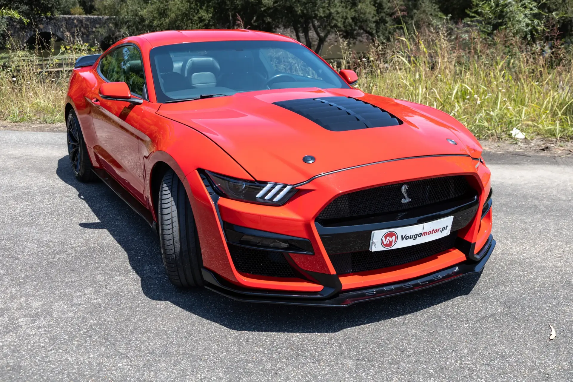 Ford Mustang 5.0 Ti-VCT V8 Black Shadow Edition 2