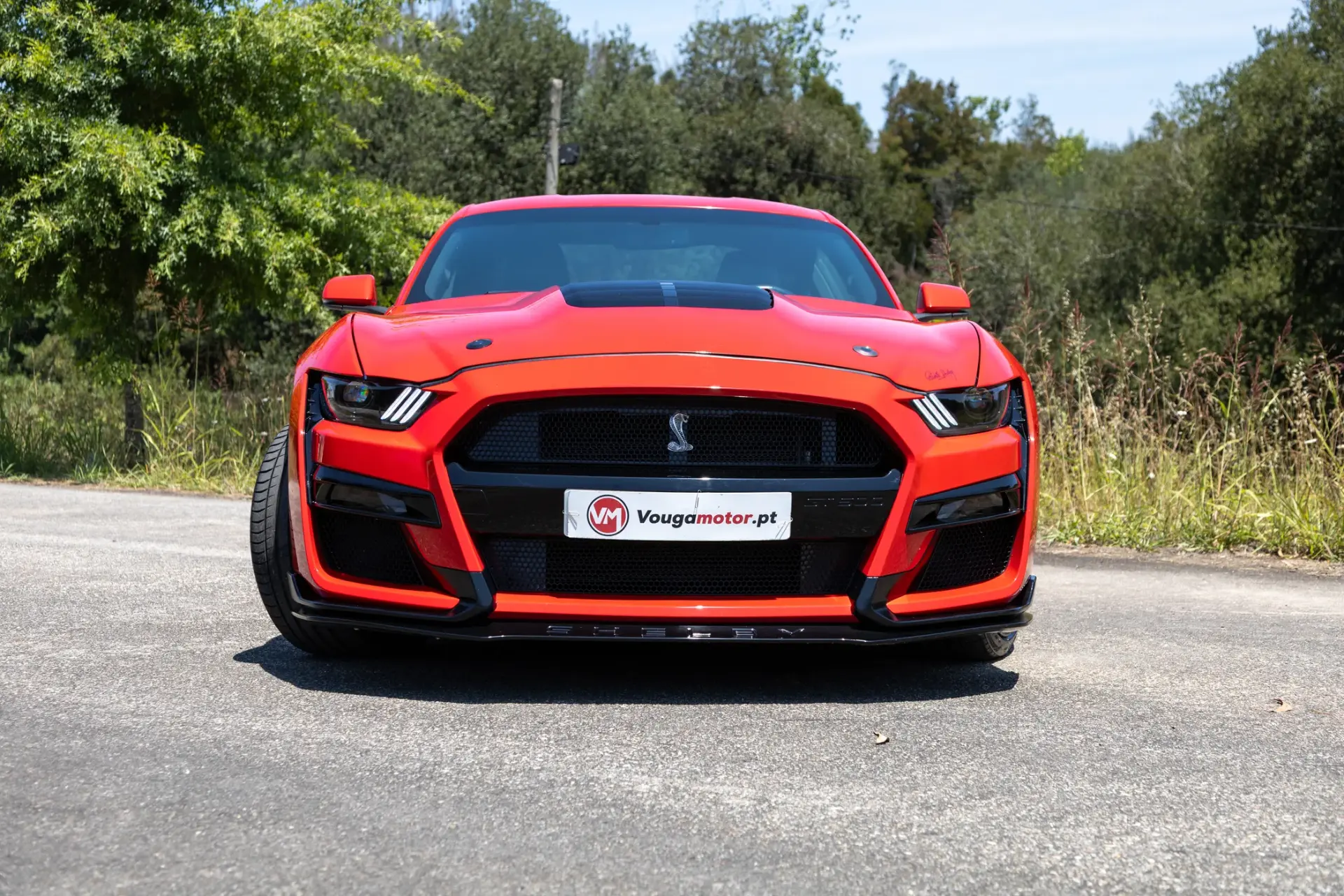 Ford Mustang 5.0 Ti-VCT V8 Black Shadow Edition 3