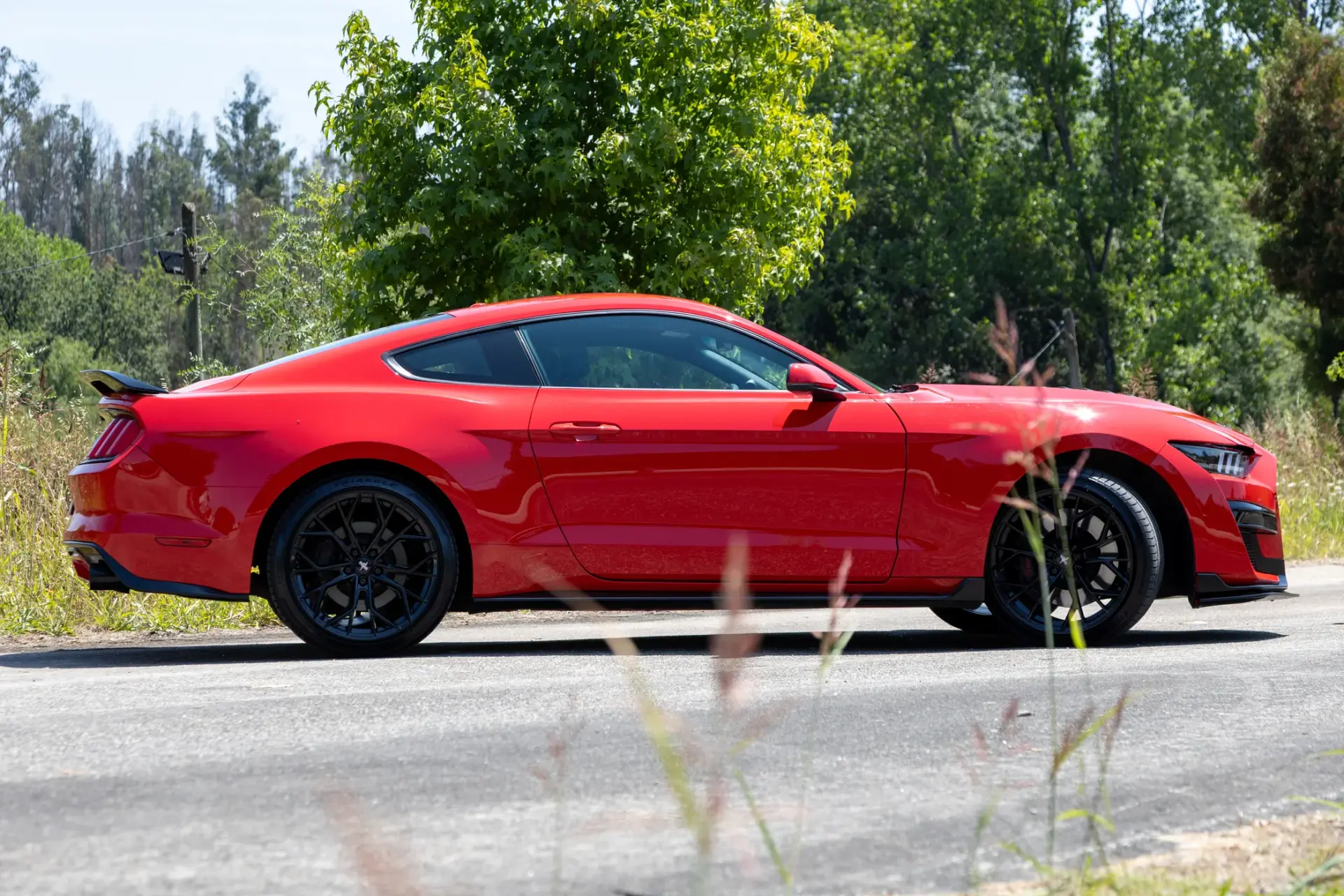 Ford Mustang 5.0 Ti-VCT V8 Black Shadow Edition 5