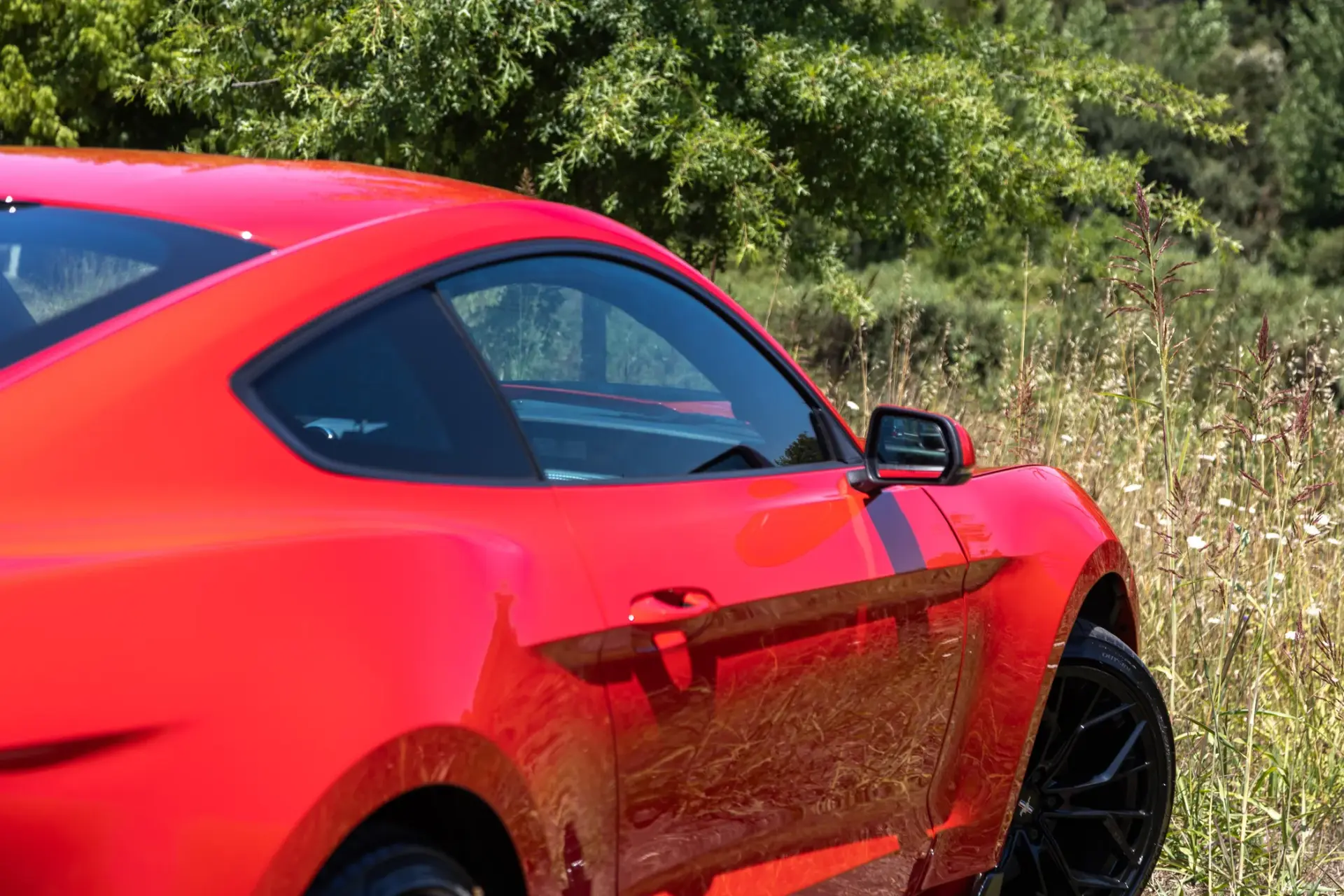 Ford Mustang 5.0 Ti-VCT V8 Black Shadow Edition 26
