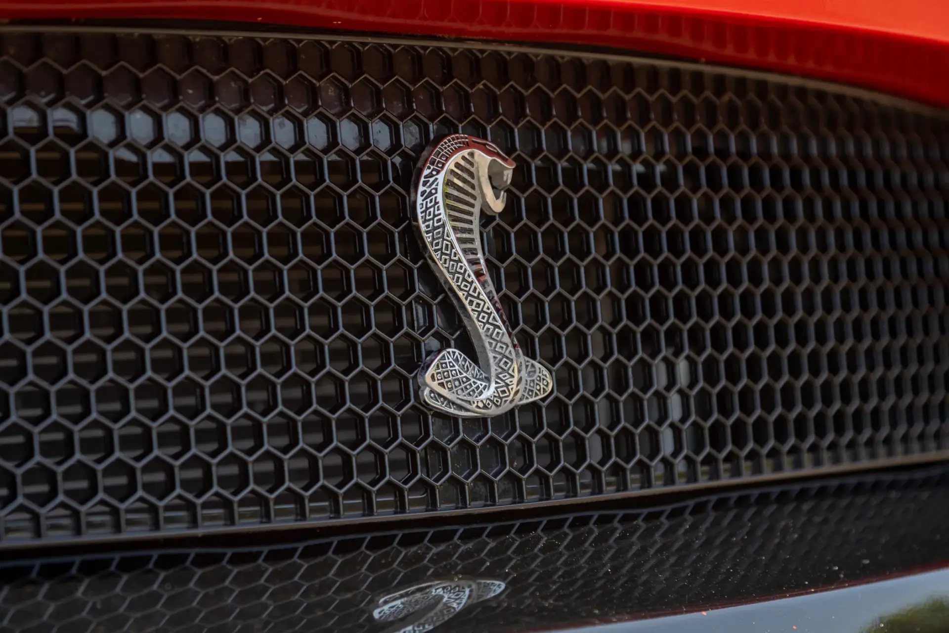 Ford Mustang 5.0 Ti-VCT V8 Black Shadow Edition 33