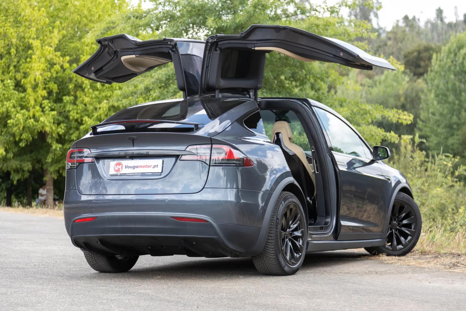 Tesla Model X Signature P90D AWD 45