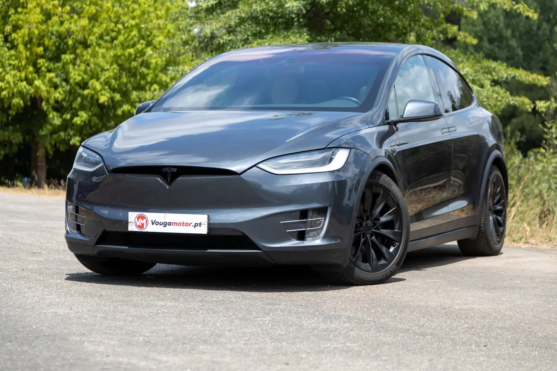Tesla Model X Signature P90D AWD 15