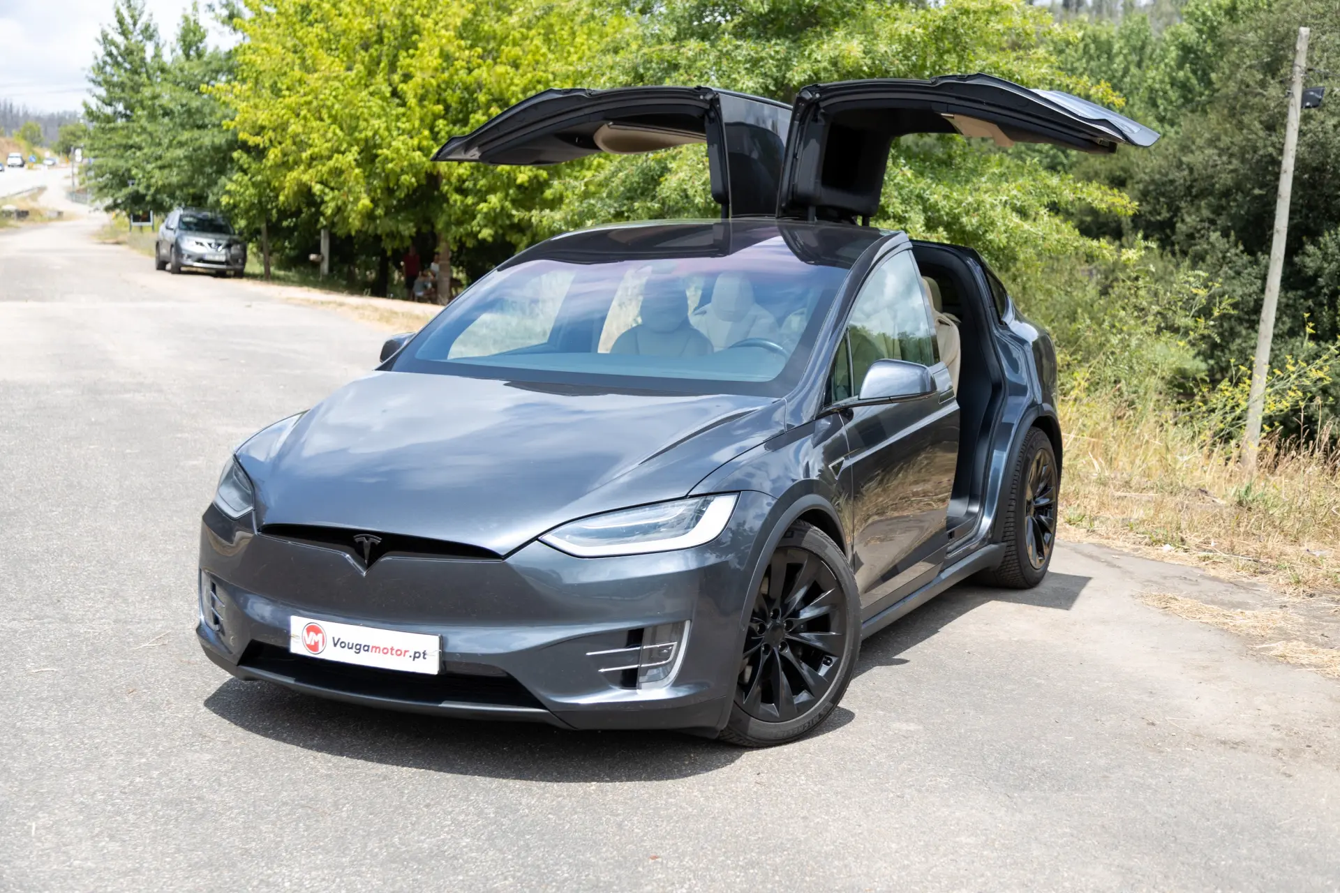 Tesla Model X Signature P90D AWD 1