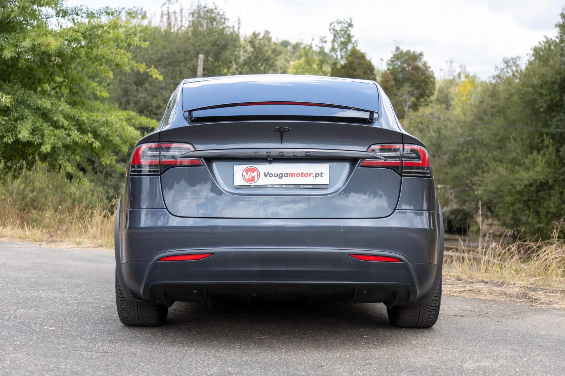 Tesla Model X Signature P90D AWD 57
