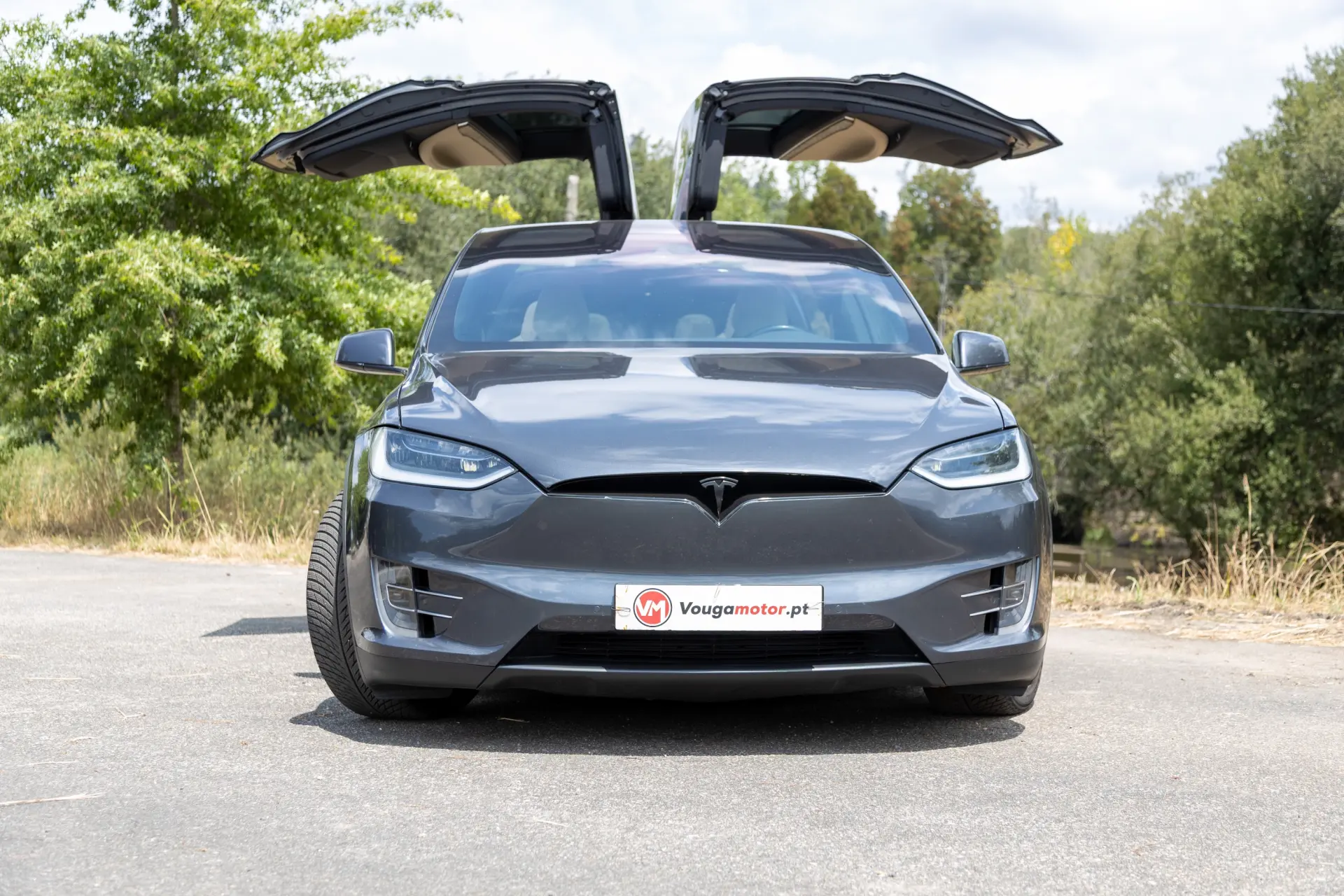 Tesla Model X Signature P90D AWD 11